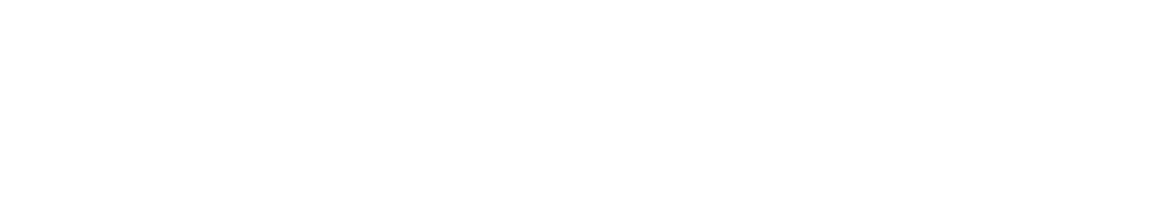 natfluence-logo-full
